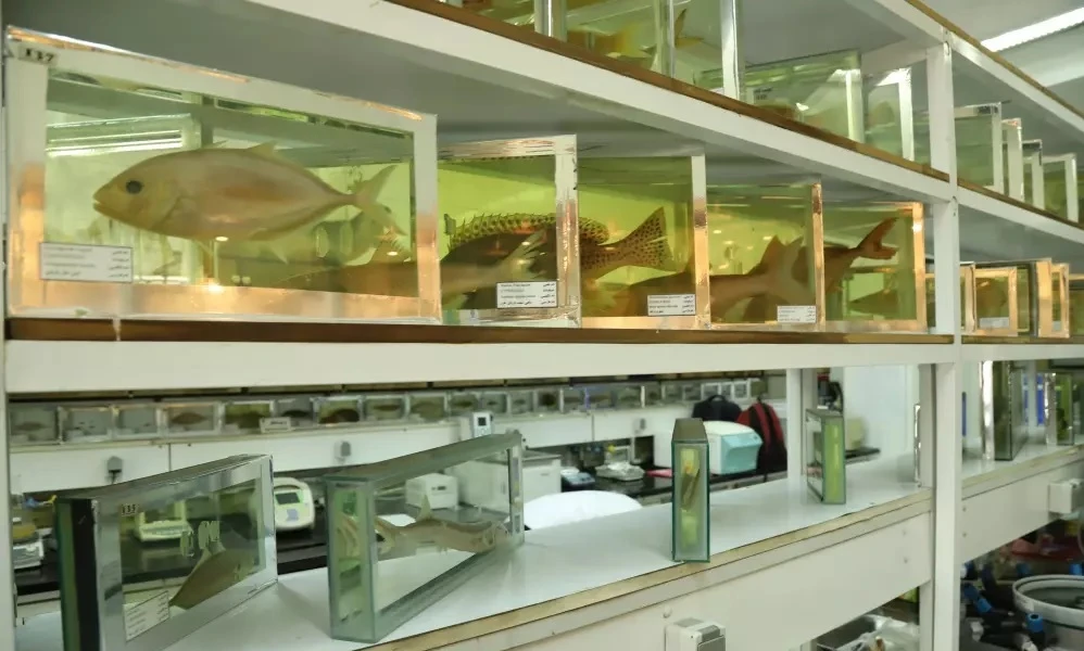 770 نمونه جانوری در آزمایشگاه بیولوژی دریا واحد علوم تحقیقات + عکس