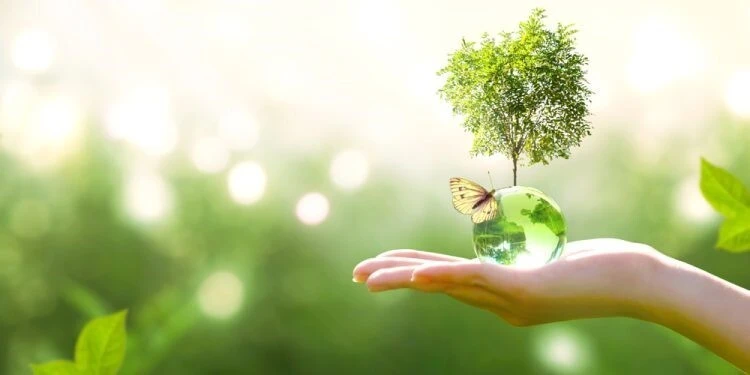 نقش اساسی انرژی‌های فسیلی در سال ۲۰۲۶